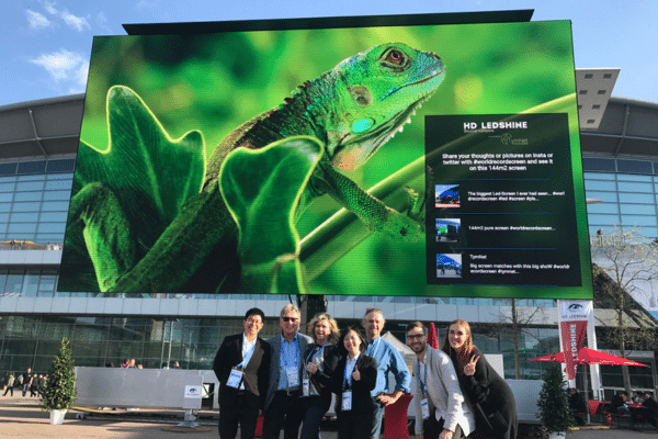 Large outdoor LED screen displaying vivid green iguana visuals at an event
